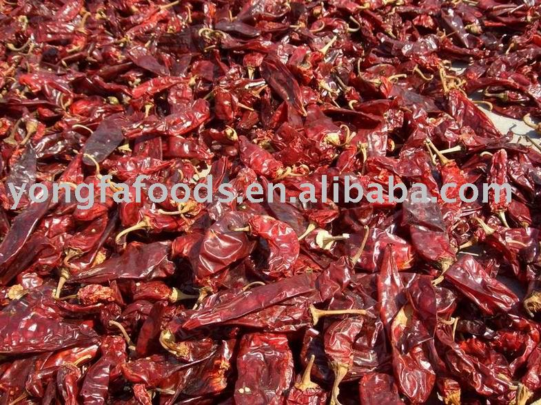 SWEET CHILLI , chilies
