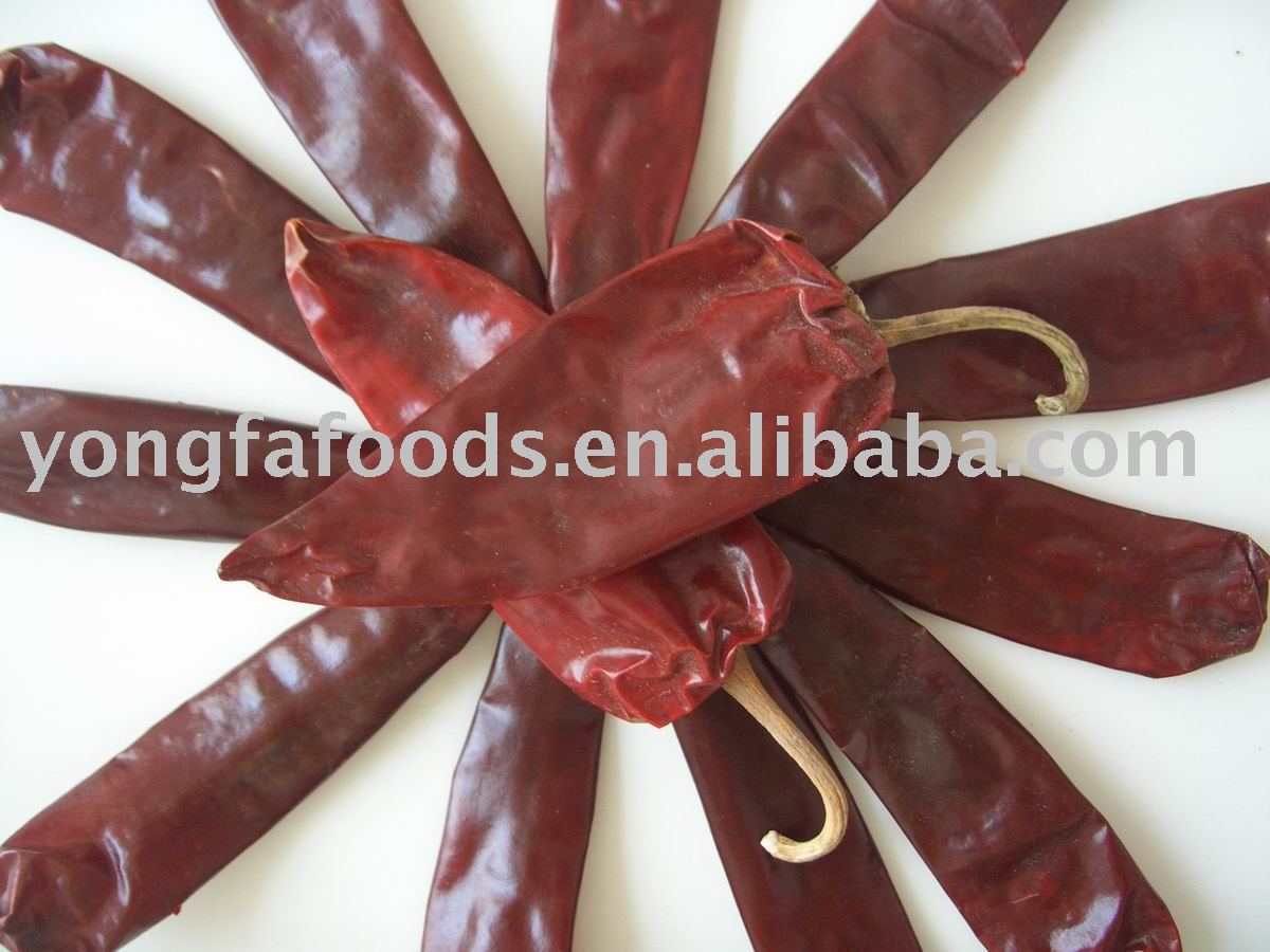 chilli , chili ,chillies