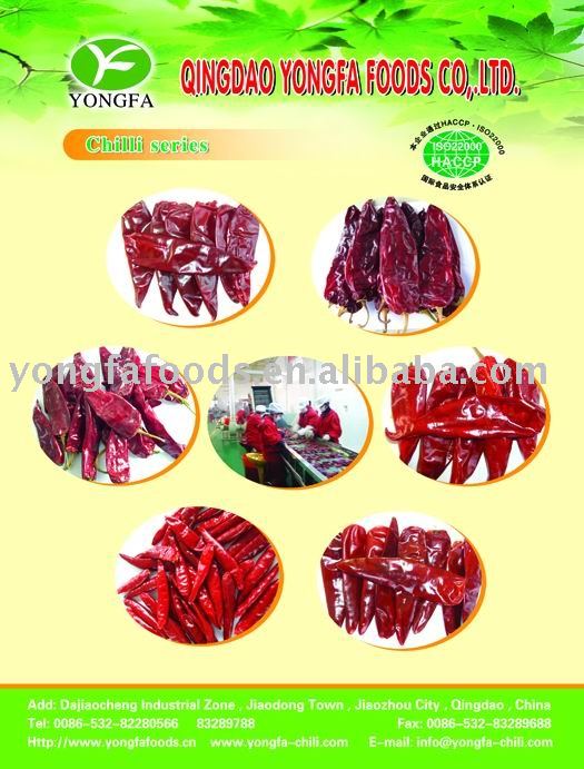 chilli flake, chili