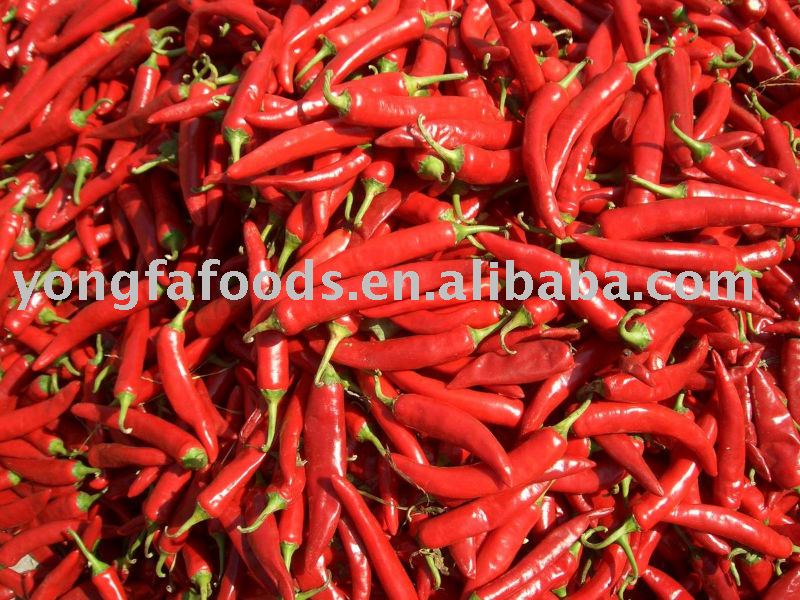 frozen chili, chilli