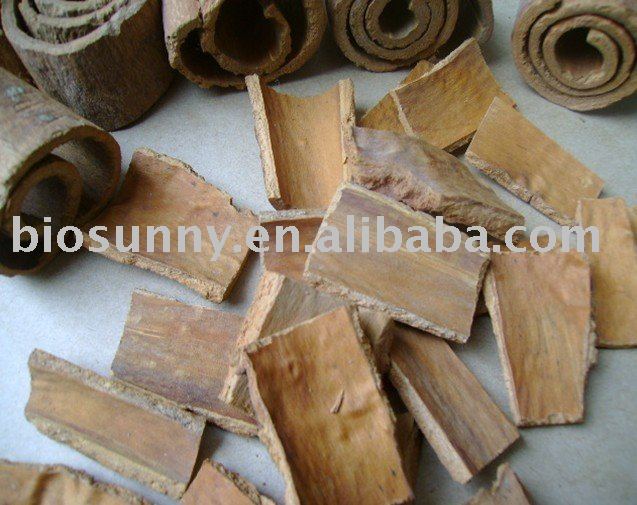 cassia (slice)