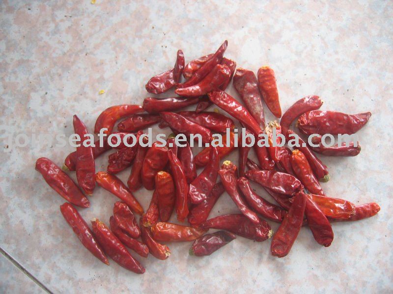 Hot Chinese Tianjin Chilli