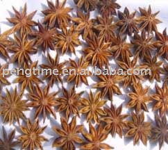 organic star anise fruit/fructus anisi stellate