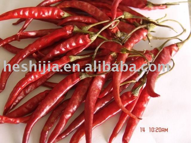  YUNNAN   CHILI