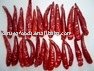 Dried  Small   Chili  Pods