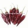 Dried American Red Chili Whole