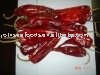 Exported Gansu Chilli Pods