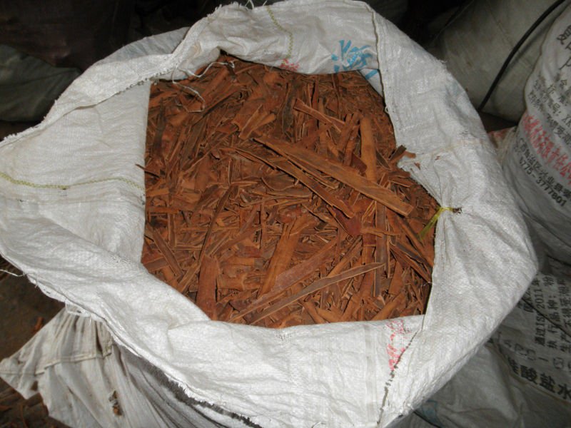 Broken Cassia for processing