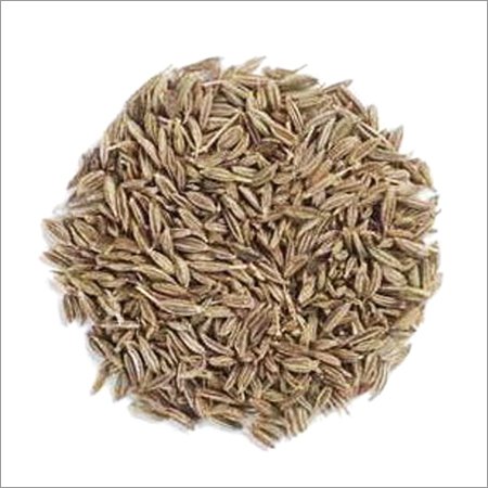  Cumin  ( Jeera )