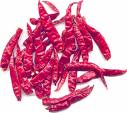 Chilli,Spice