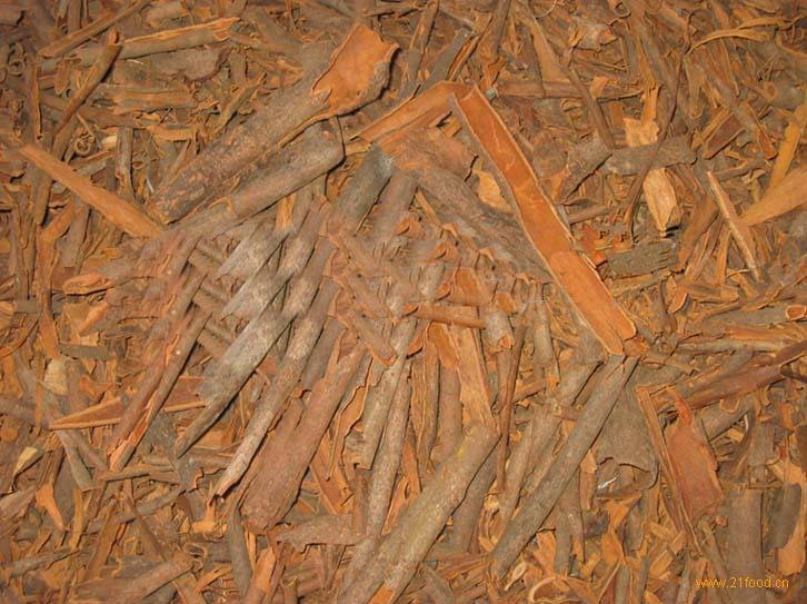 Broken Cassia #1