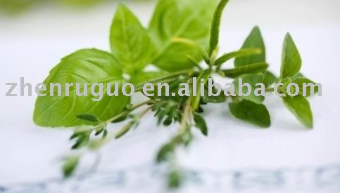 dry Basil powder