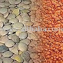 Tamarind