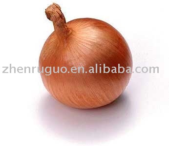  dry   Onion  powder