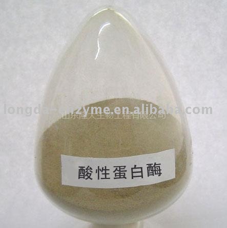 Acid Protease