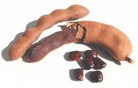 TAMARIND