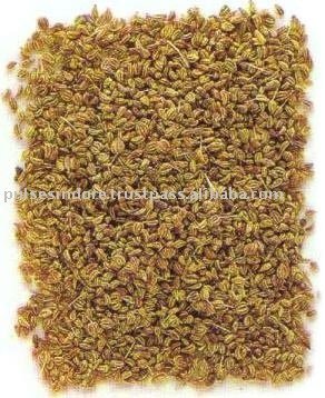 AJWAIN