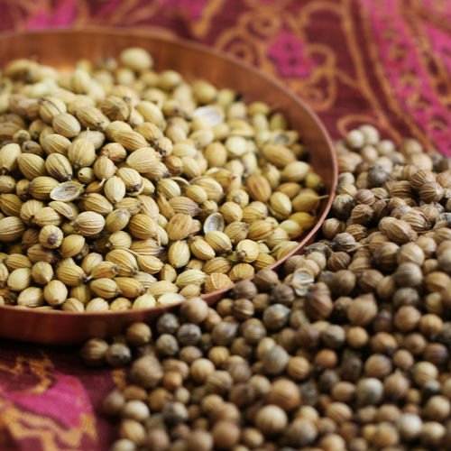 Whole coriander seeds