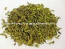Fennel Seeds