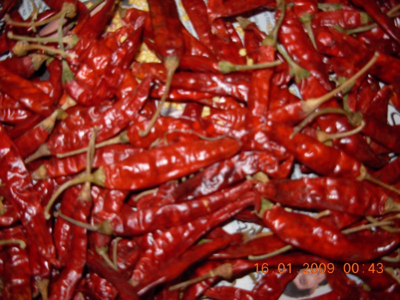 Red chillies with stem and without stem