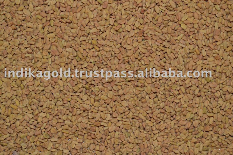 Fenugreek seeds