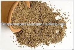  Best  quality fennel  cumin   seeds 