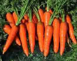 Beta Carotene