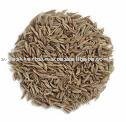 CUMIN SEED