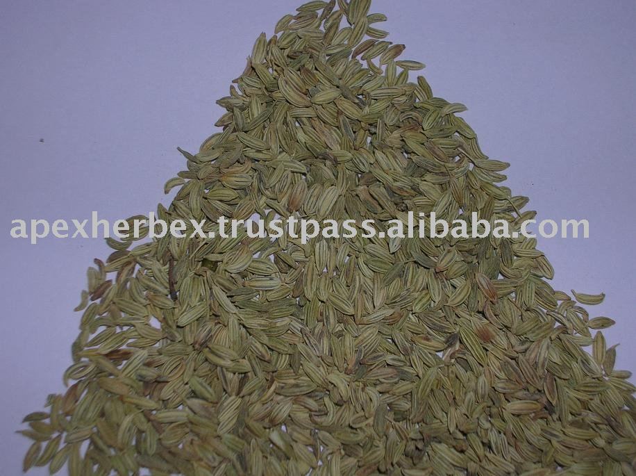 Foeniculum Vulgare / Fennel Seeds / Saunf
