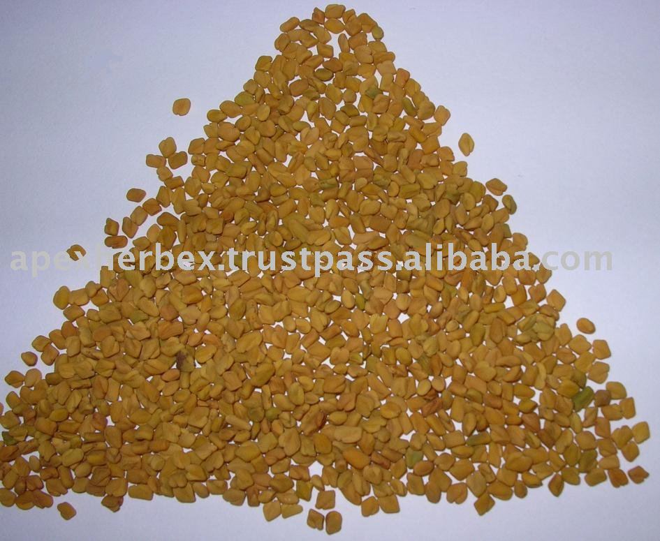 Spices-Trigonella Foenum-Graecum / Fenugreek Seeds / Methi