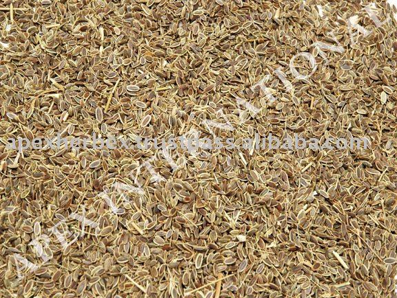 Spice-Anthem Graveolens / Dill Seeds / Suwa