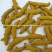Salem Turmeric