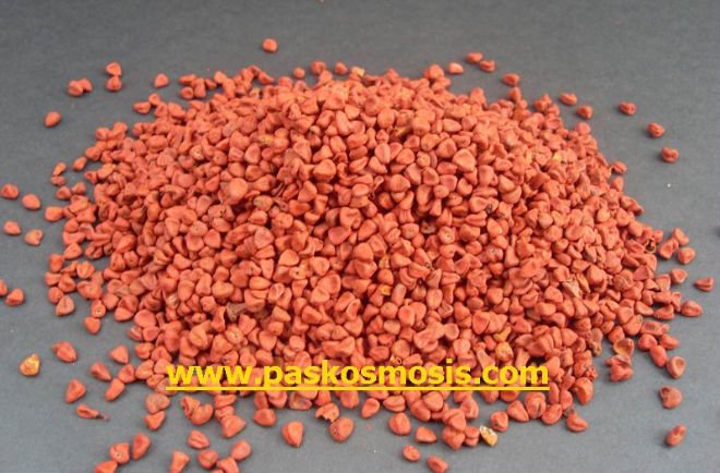 Annatto seeds