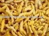  Erode   Turmeric 