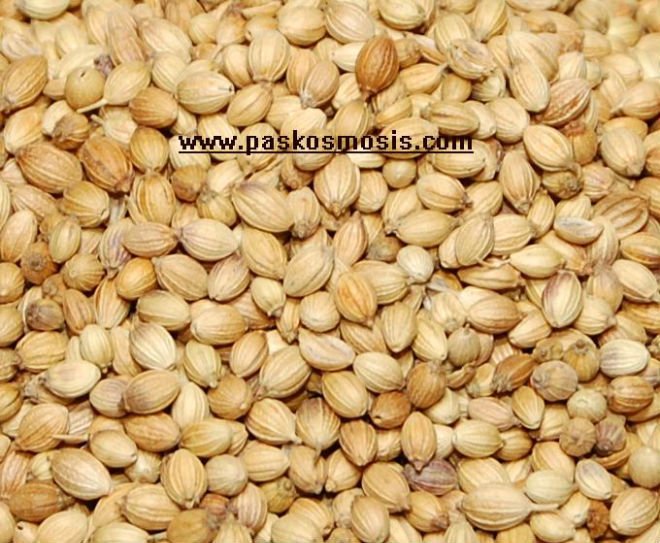 Coriander Seeds