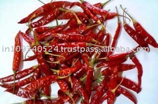 dry red chilli
