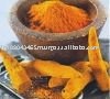 turmeric curcuma longa