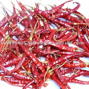 Export dried red chilli