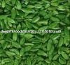 Green Cardamom Spices