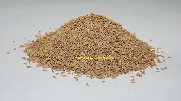 Indian mixed raw kitchen Spices