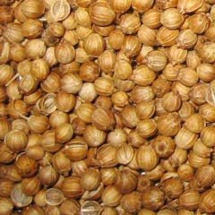 Pure Coriander Powder