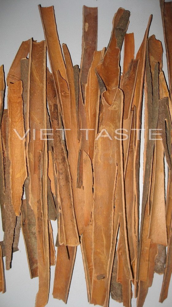 Split Cassia