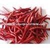 Guntur Chillies 273