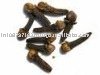 Clove seeds