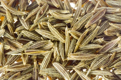 Cumin Seeds for exports