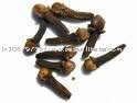  spices   cloves 