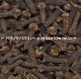 Cloves