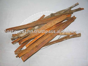 Splitted Cassia