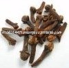  fresh   cloves 