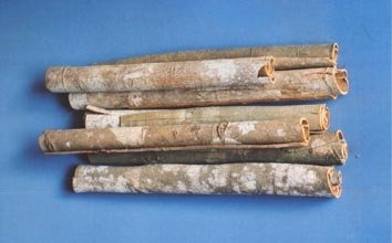 Cassia tube